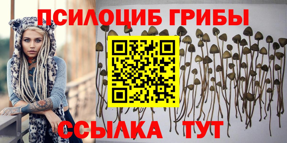 Галлюциногенные грибы мухоморы  Вход с VPN  Галлюциногенные грибы мицелий  Ростов-на-Дону 